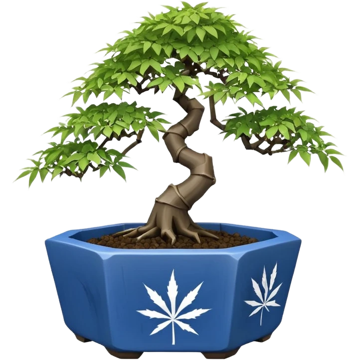 Japanese broken 35 side polyhedron-shaped shallow dark bamboo blue maple tree bonsai pot emoji