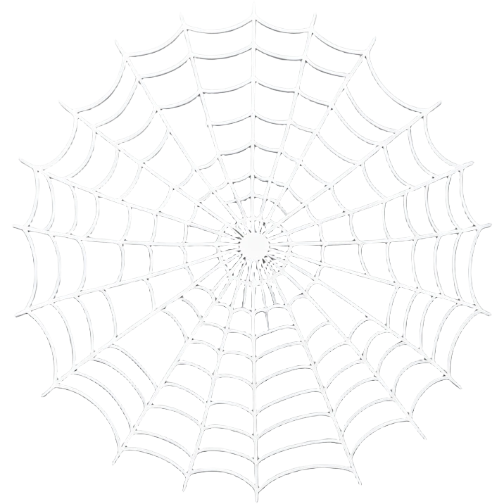 grey spider web emoji