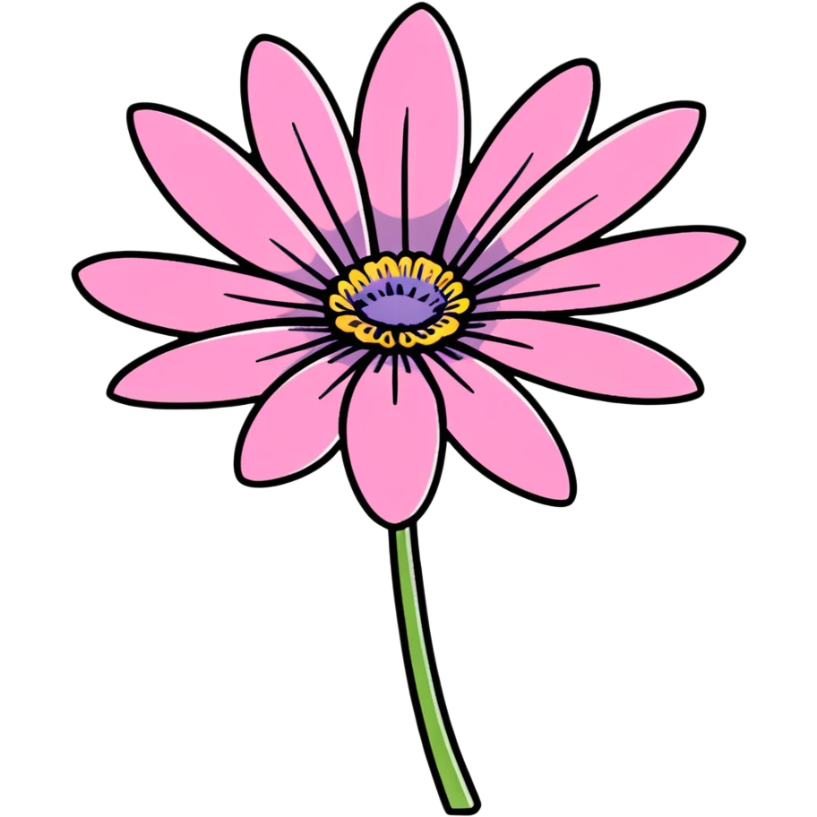 pink African daisy flower, Osteospermum, single flower with pink petals emoji