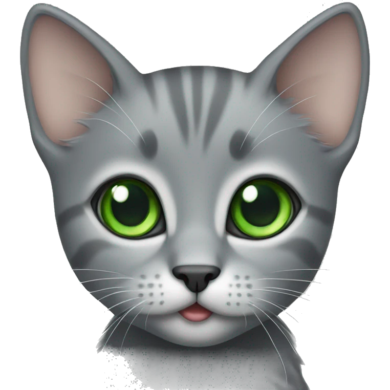 full grey kitten with green eyes  emoji