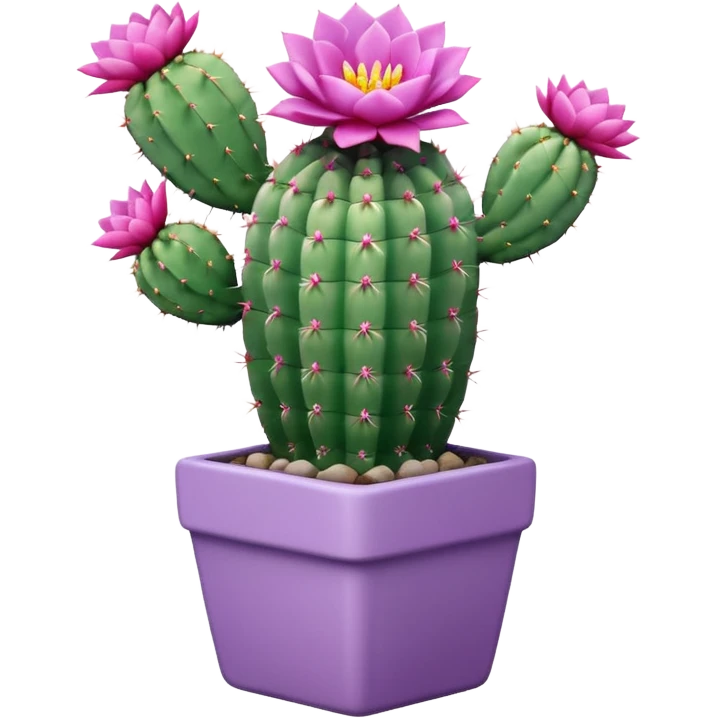 One ceramic pot in pastel violet, square, and tall, containing a flowering cactus. emoji