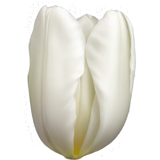 white tulipans emoji