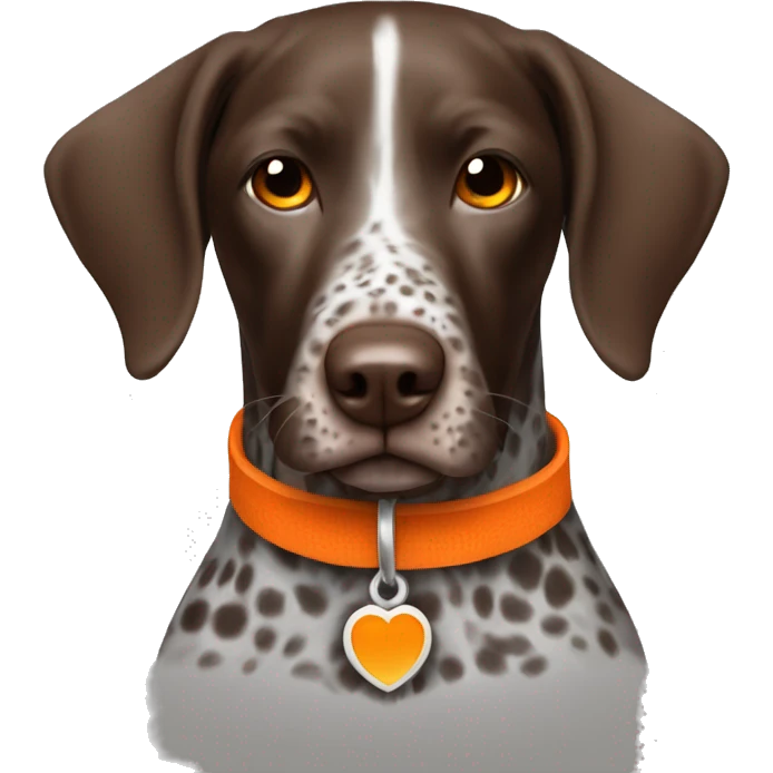 German shorthair pointer with orange collar emoji
