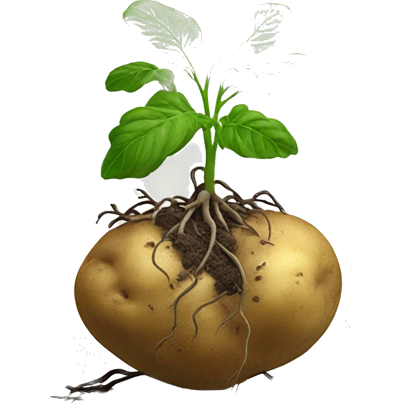 potato plant with roots and tubers emoji