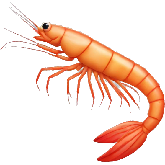 shrimp emoji
