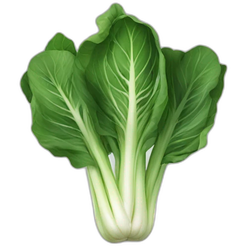 bok choy emoji