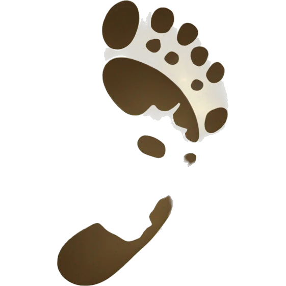 footprint emoji