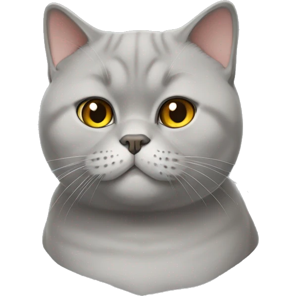 British_shorthair cat,half body emoji