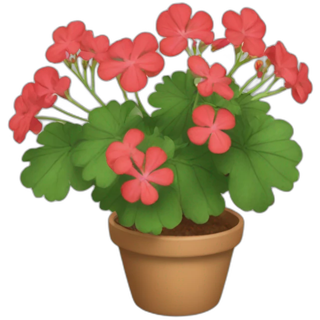 pelargonium emoji
