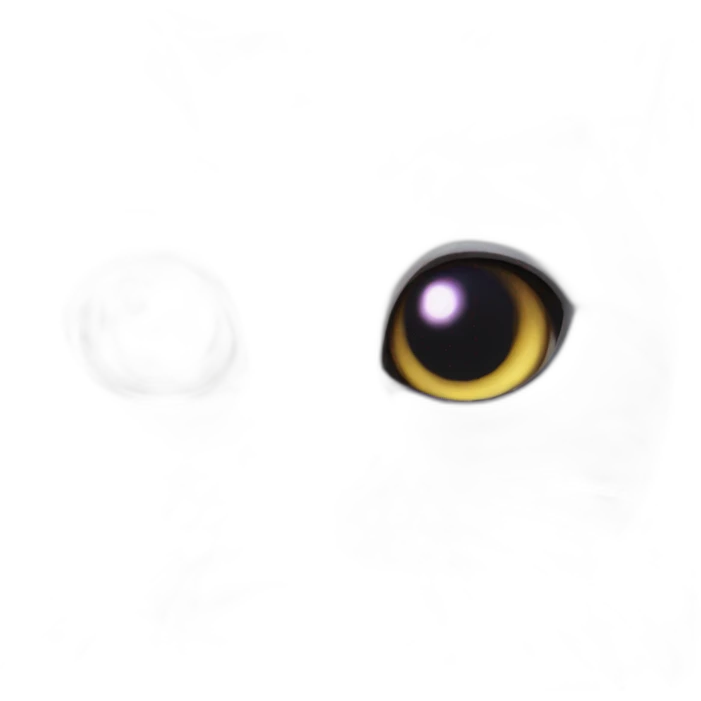 surprising cat face on entire galaxy emoji