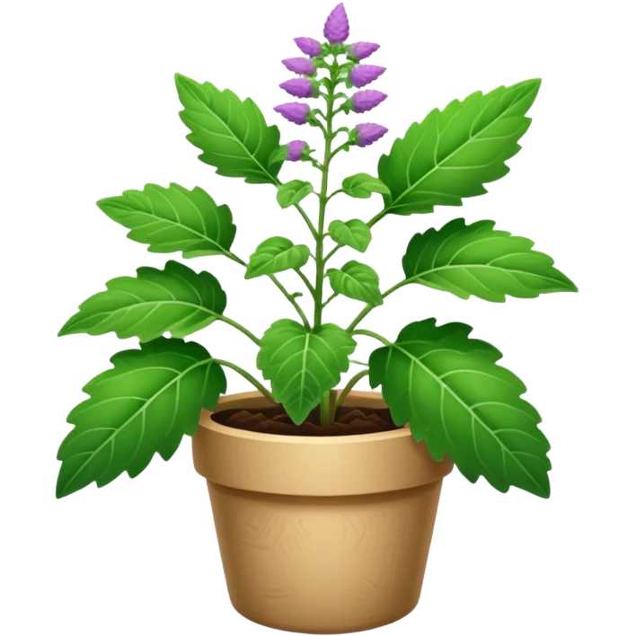 patchouli plant emoji