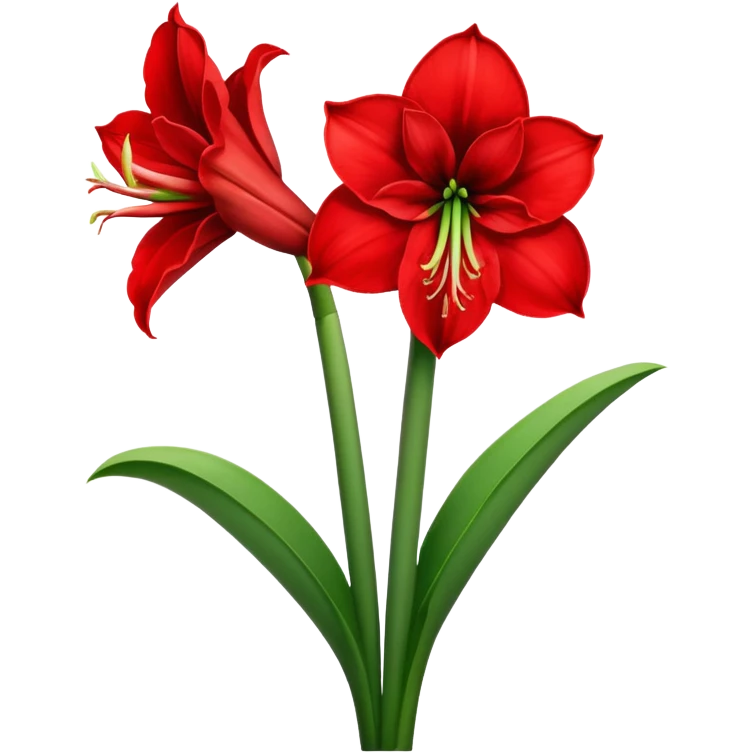 amaryllis emoji