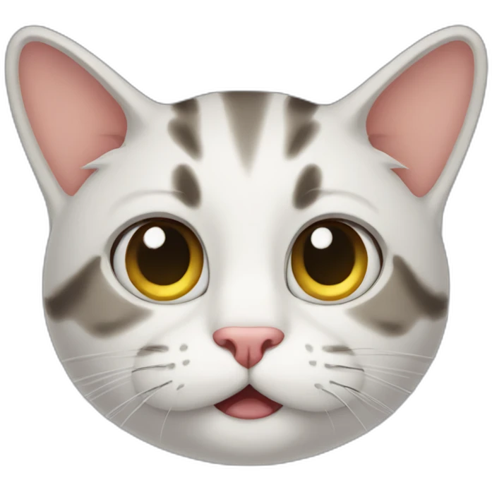 stupid cat emoji