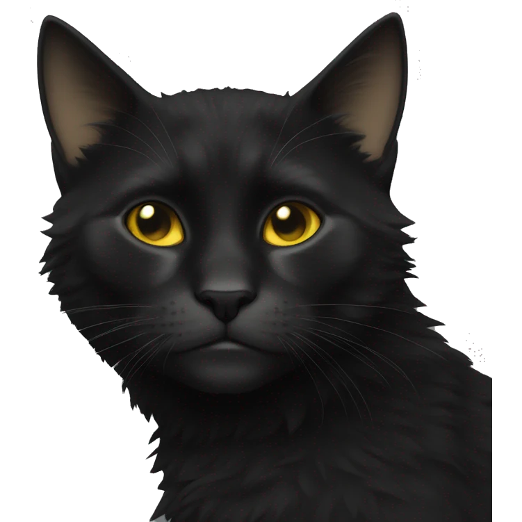 Chat noir avec beaucoup de poile emoji