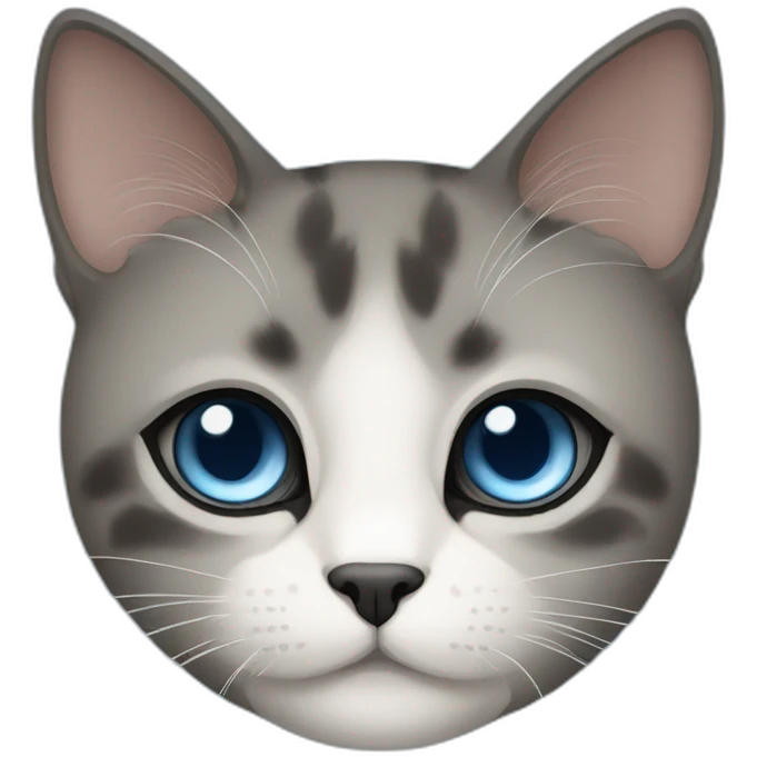 black face blue eye simaese cat emoji
