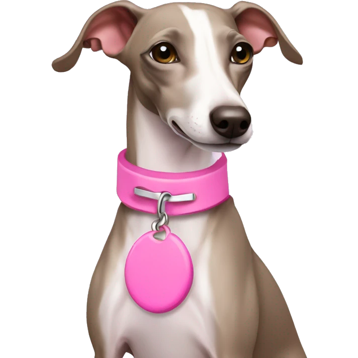 White Italian greyhound wearing pink collar emoji