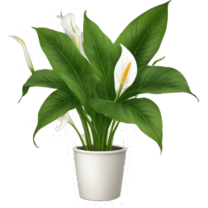 Peace lilies emoji