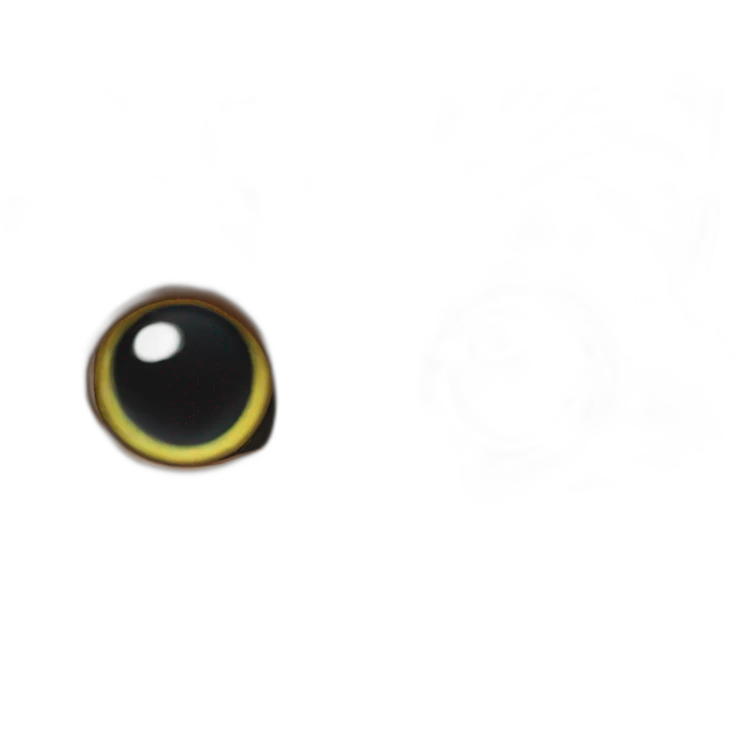 Cat eye emoji