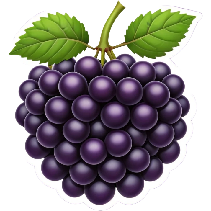 Blackberry fruit emoji