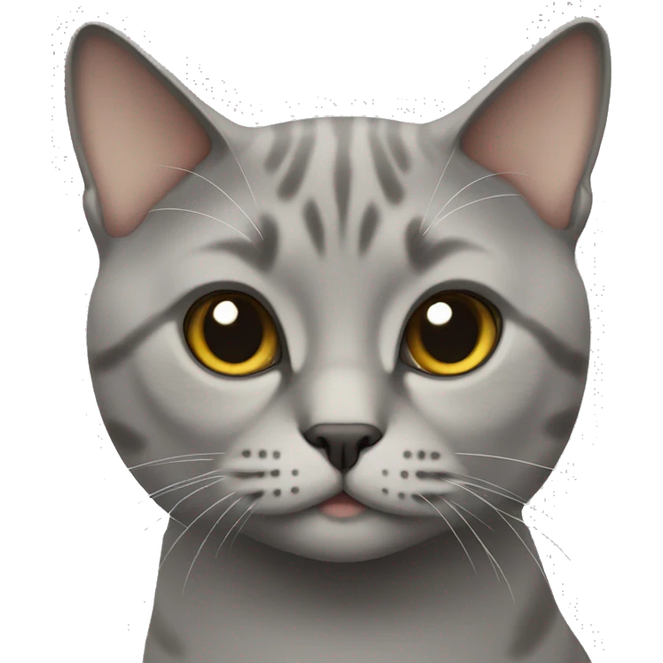 british short hair cat emoji