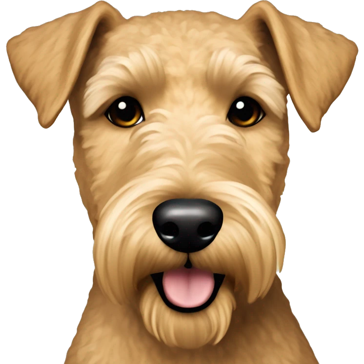 Lakeland terrier  emoji