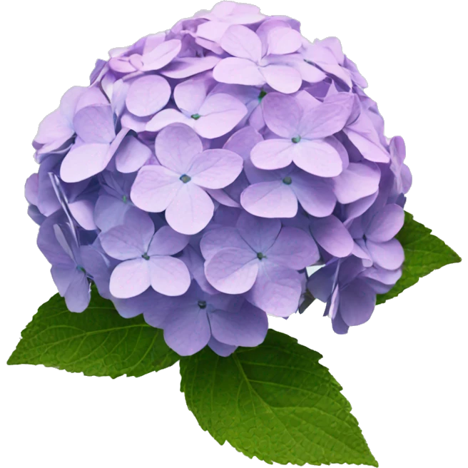 hydrangea emoji