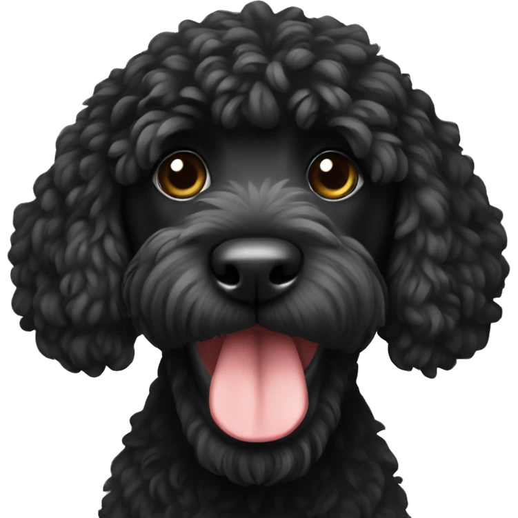 Black mini doodle emoji