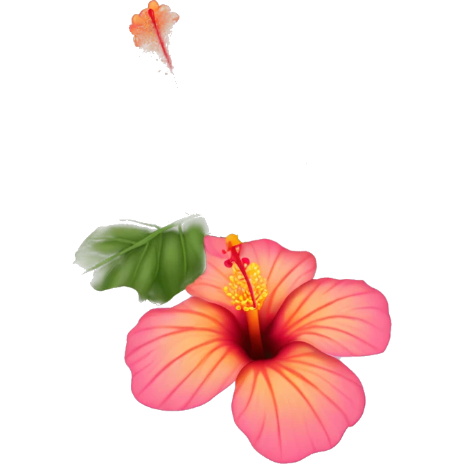 One Orange and pink hibiscus flower without leaves mostly pink emoji