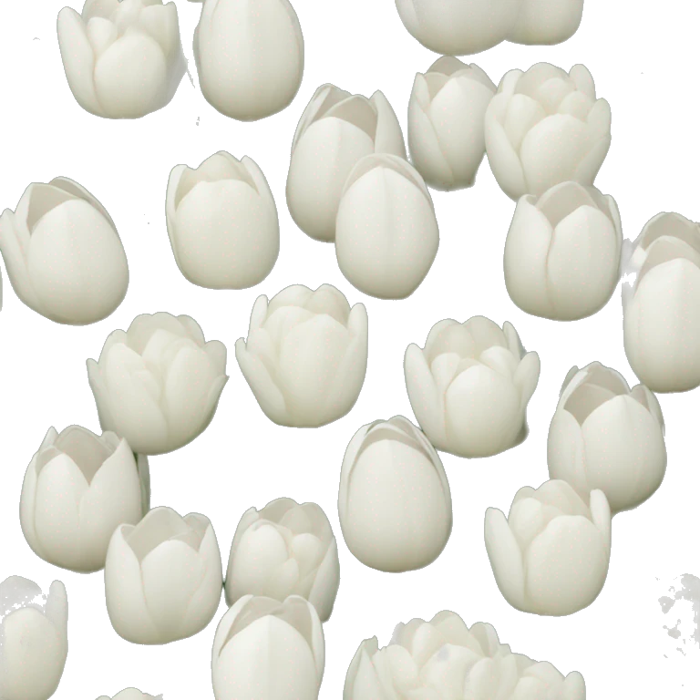 White hydrangea white tulip bouquet emoji