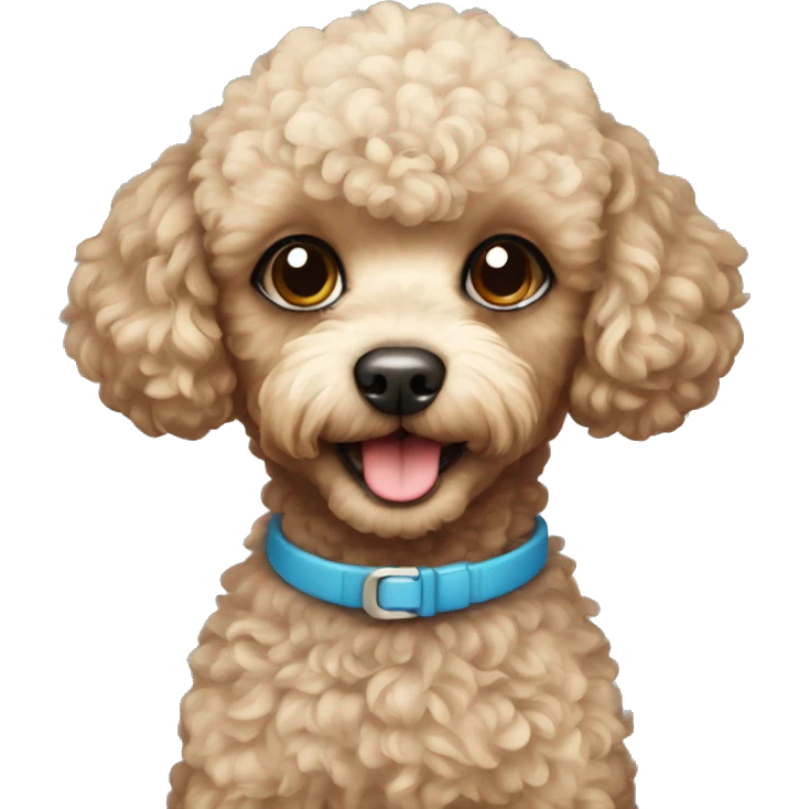 Toy poodle emoji
