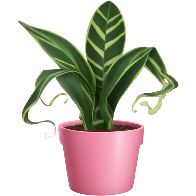 Snake plant in pink pot emoji