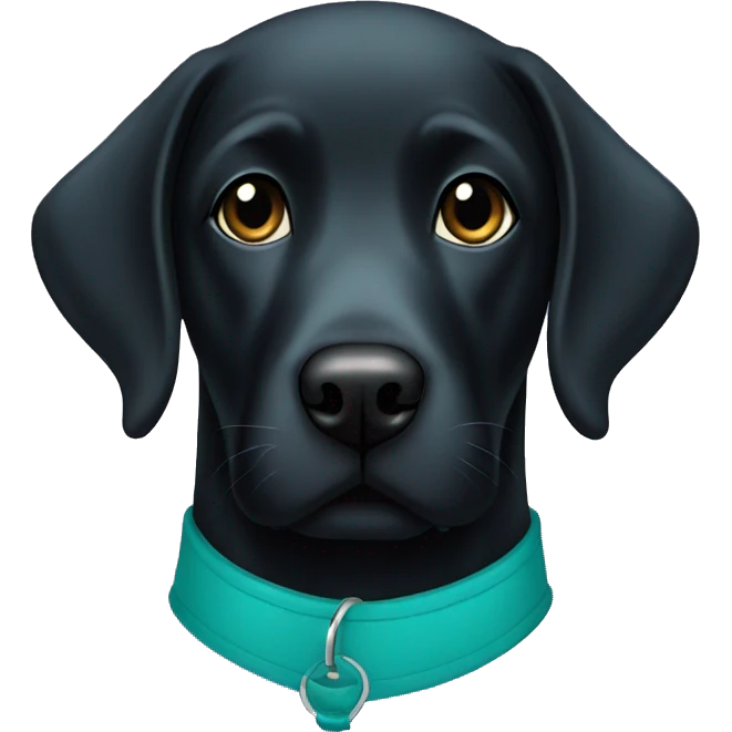 Black Labrador with a teal collar emoji