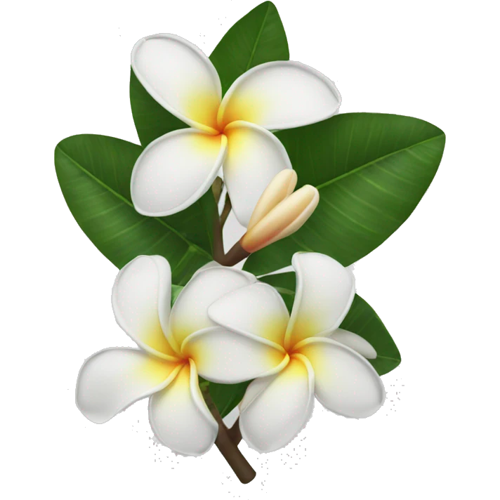 White plumeria emoji