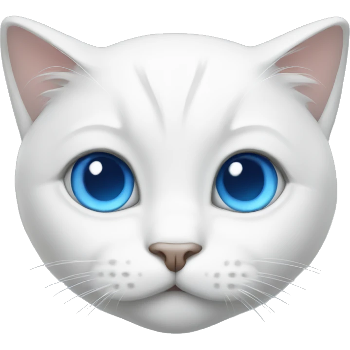 White cat with blue eyes  emoji