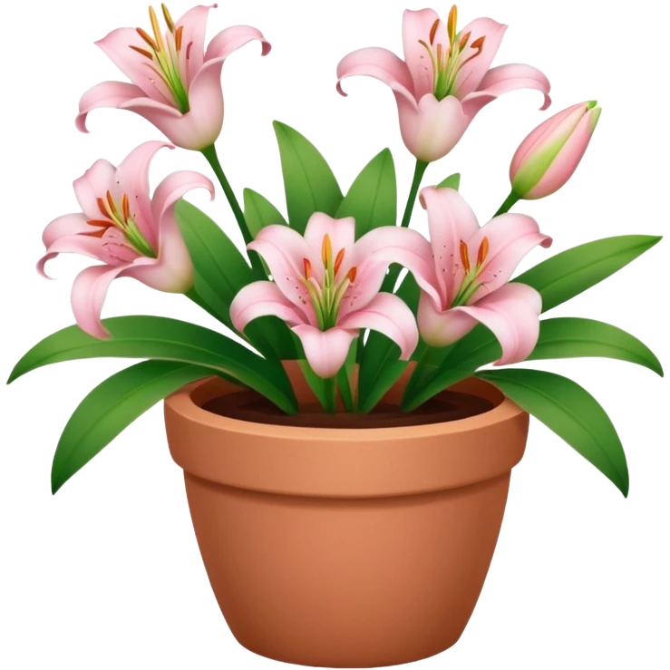 light pink lily flowers in a clay pot emoji