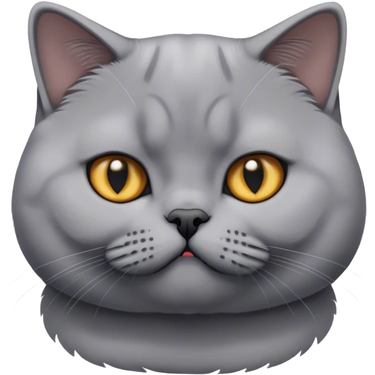 british shorthair cat interrogation  emoji