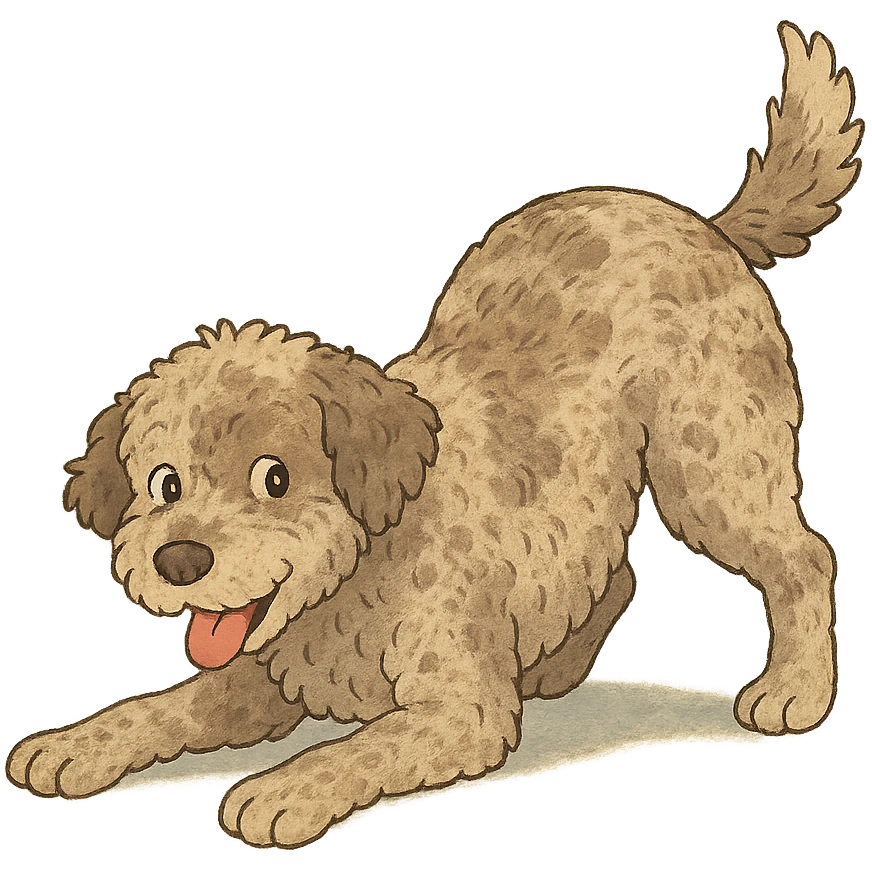playful pose Lagotto Romagnolo dog, roan coat, gentle lighting, ghibli style emoji