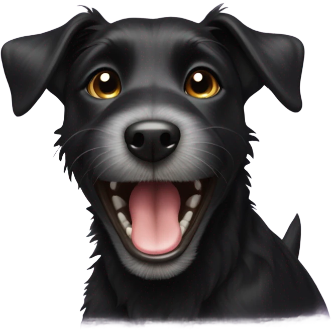 Black terrier mix laughing  emoji