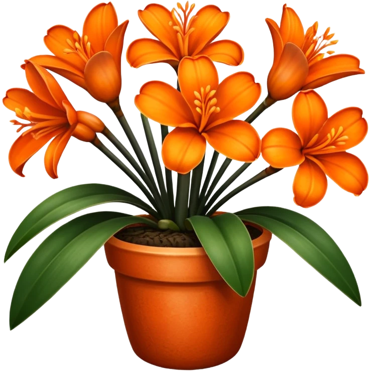 Clivia plant with six petals on the flowers emoji