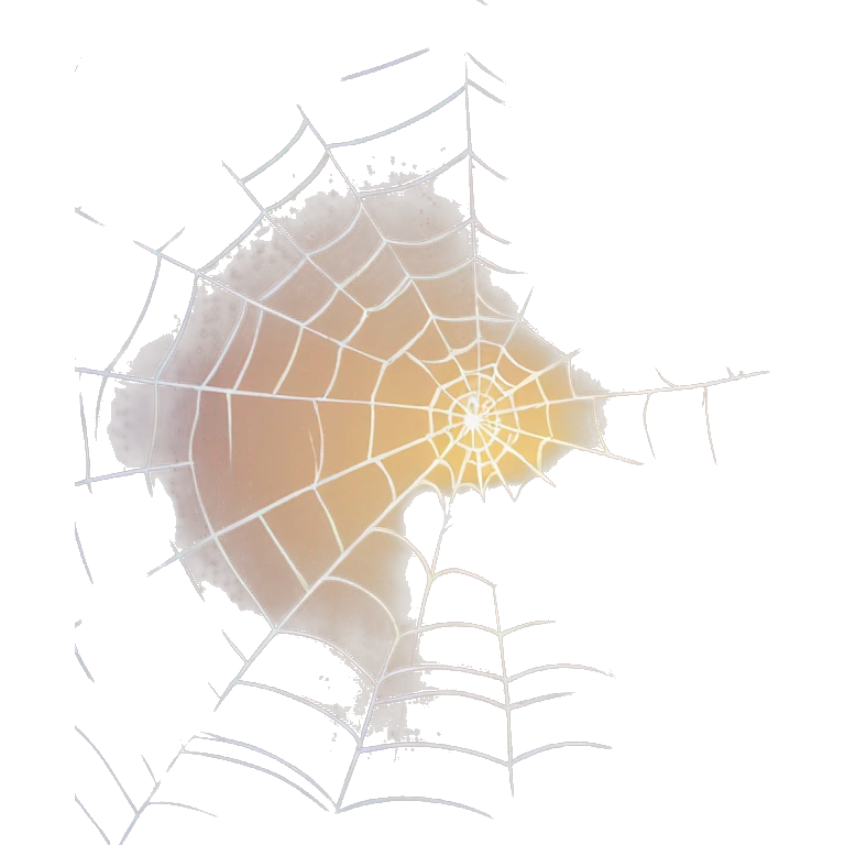 spiderweb emoji