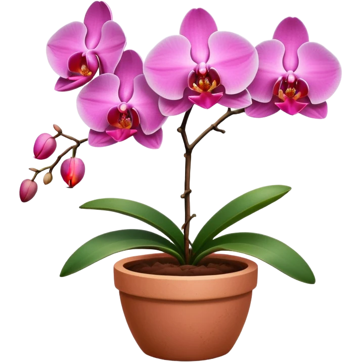 pink Orchid in a clay pot emoji