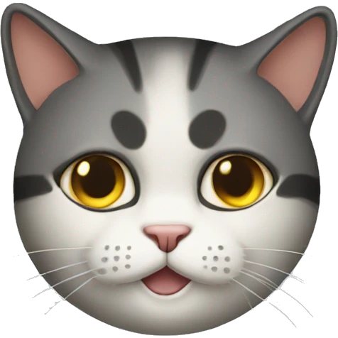 hacker cat emoji