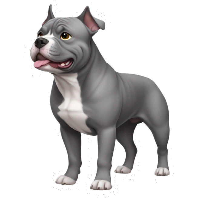Grey American bully dog emoji