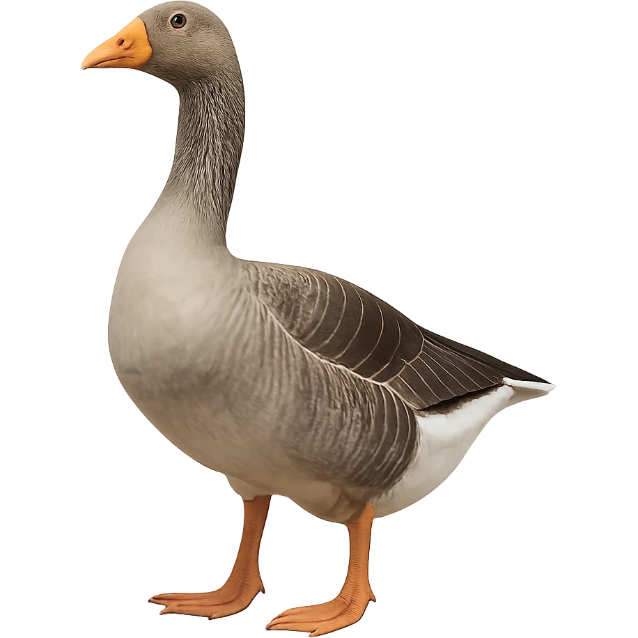 Goose emoji