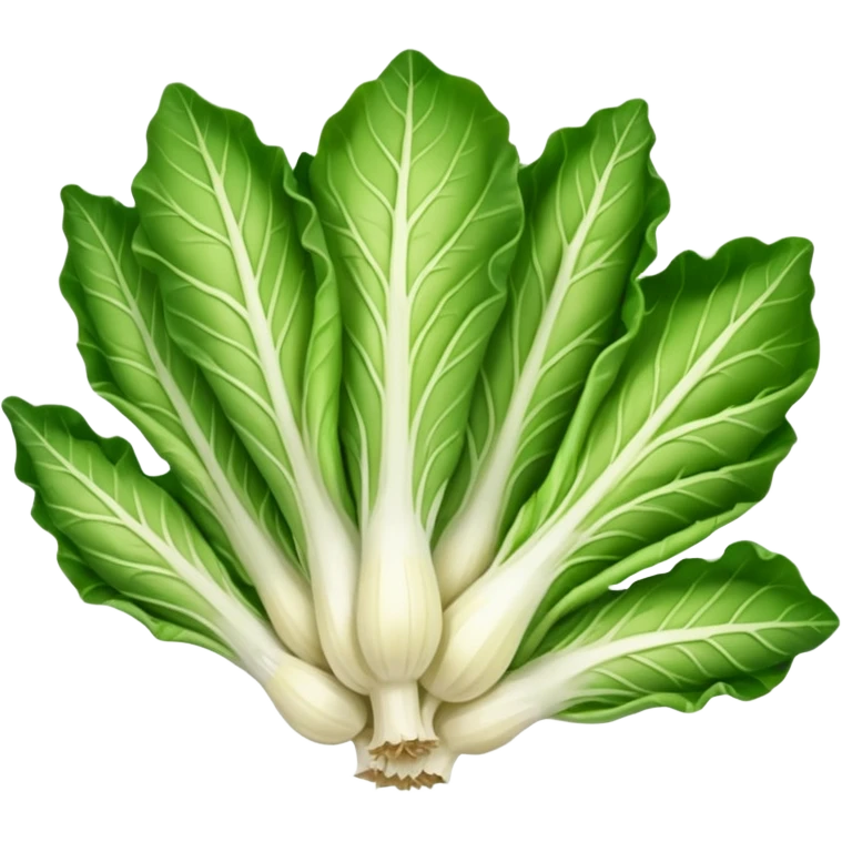 green blegian endive radicchio smooth emoji