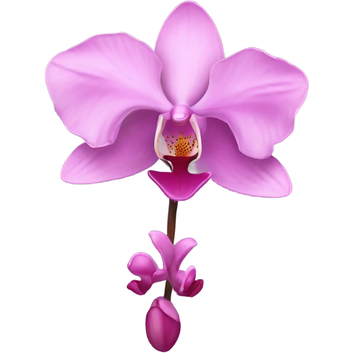 Pink orchid emoji