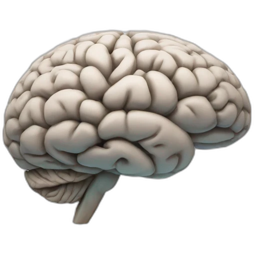 REALISTIC BRAIN  emoji