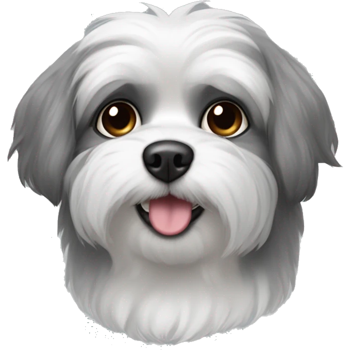 White shitzu crossbreed with gray spitz with black ears and with gray higlights in them black nouse and black whiskers emoji