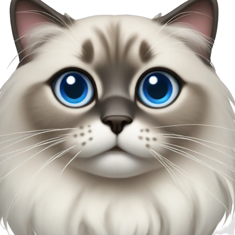 Ragdoll with blue eyes wearing a christmas sweater emoji