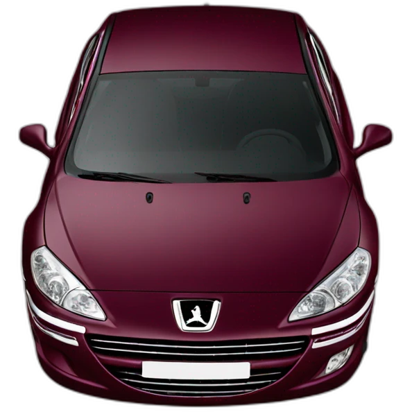 Peugeot 407 couleur bordeaux emoji